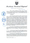 Vista preliminar de documento RDR N° 705-2022