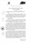 Vista preliminar de documento RESOLUCION GERENCIAL GENERAL REGIONAL   109.PDF
