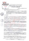 Vista preliminar de documento R.A. 0346-2022-AL-RRZS-MPB.pdf