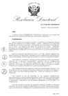 Vista preliminar de documento RDN-003-2021-CENFOTUR-DN
