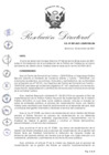 Vista preliminar de documento RDN-009-2021-CENFOTUR-DN