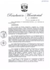 Vista preliminar de documento RM.N° 317