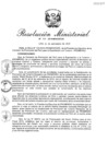Vista preliminar de documento RM.N° 319
