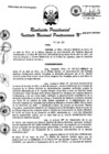 Vista preliminar de documento RP-433-2011-INPE-P.pdf