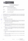 Vista preliminar de documento RD_262_2022_MINEM_DGAAM.pdf