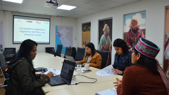 Ministerio de Cultura organizó conversatorio en favor de derechos de pueblos indígenas u originarios y afrodescendientes de Perú y Bolivia