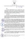 Vista preliminar de documento RER N° 493-2022