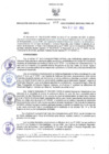 Vista preliminar de documento RER N° 494-2022