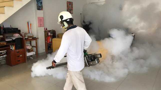 Lambayeque lleva dos semanas consecutivas sin reportar casos de dengue