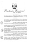 Vista preliminar de documento RD 005-2011-INPE-OGA.pdf