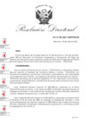 Vista preliminar de documento RDN-095-2021-CENFOTUR-DN