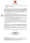 Vista preliminar de documento 113 008-0035384-2019