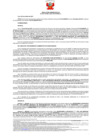 Vista preliminar de documento 115 010-0036676-2019