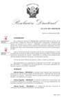 Vista preliminar de documento RDN-091-2021-CENFOTUR-DN