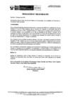 Vista preliminar de documento Resolución ILN.pdf