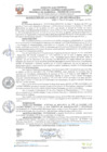 Vista preliminar de documento resolucion-alcaldiaN390.pdf