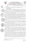 Vista preliminar de documento resolucion-alcaldiaN393.pdf