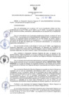 Vista preliminar de documento RER N° 502-2022