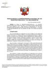 Vista preliminar de documento Resolución N° 133-2022-SUNARP_SN