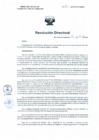 Vista preliminar de documento RD N°160-2022-DE-HSJL-MINSA.pdf