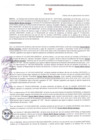 Vista preliminar de documento 517_2022