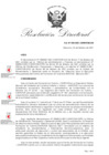 Vista preliminar de documento RDN-030-2021-CENFOTUR-DN