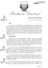 Vista preliminar de documento RDN-033-2021-CENFOTUR-DN
