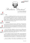 Vista preliminar de documento RDN-046-2021-CENFOTUR-DN