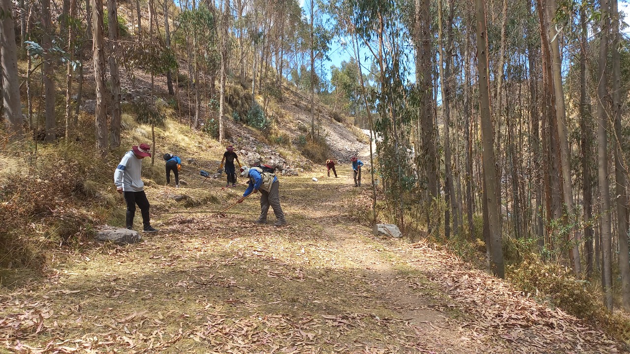 Ministerio de Cultura realizó labores de conservación preventiva en el camino pre-hispánico Cachona-Occopata