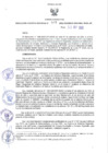 Vista preliminar de documento RER N° 507-2022