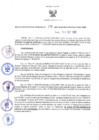 Vista preliminar de documento RES N°270-2022-GRDS