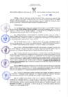 Vista preliminar de documento RES N°273-2022-GRDS
