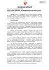 Vista preliminar de documento Resolución Jefatural