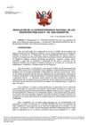 Vista preliminar de documento Resolución N° 136-2022-SUNARP_SN