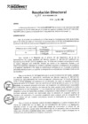 Vista preliminar de documento Resolución Directoral N° 155-2018-INGEMMET/OA