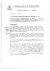 Vista preliminar de documento DECRETOALCALDIA0132009MDPP