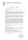 Vista preliminar de documento decreto028