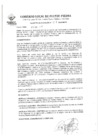 Vista preliminar de documento DECRETOALCALDIA0072009MDPP
