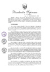 Vista preliminar de documento 117-2019-IN (Reincorporar provisionalmente a Javier William Rivas Chavez a la situación policial de actividad en el grado de Gral. PNP)