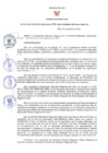 Vista preliminar de documento RER N° 515-2022