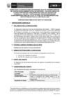 Vista preliminar de documento Bases del Concurso de CAS N° 041-2022-OSCE