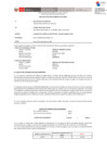 Vista preliminar de documento Anexo