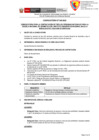 Vista preliminar de documento Convocatoria 045 ENGEO