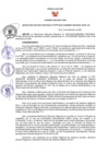 Vista preliminar de documento RER N°519-2022