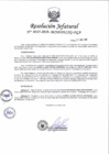 Vista preliminar de documento RJ 0335-2019 Dejar sin efecto la designación del señor Palacios Basas Abelardo Marino - 21 Ago
