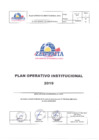 Vista preliminar de documento Plan Operativo Institucional - 2019.pdf