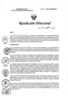 Vista preliminar de documento RD N° 252-2022-DG-INMP/MINSA
