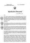 Vista preliminar de documento RD N° 256-2022-DG-INMP/MINSA