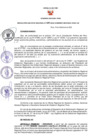 Vista preliminar de documento RER N° 529
