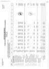 Vista preliminar de documento A Julio 2019.pdf